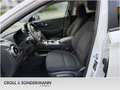 Hyundai KONA Kona Elektro Trend, 11kW, Navi, Kamera, LED - thumbnail 7