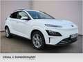 Hyundai KONA Kona Elektro Trend, 11kW, Navi, Kamera, LED - thumbnail 2