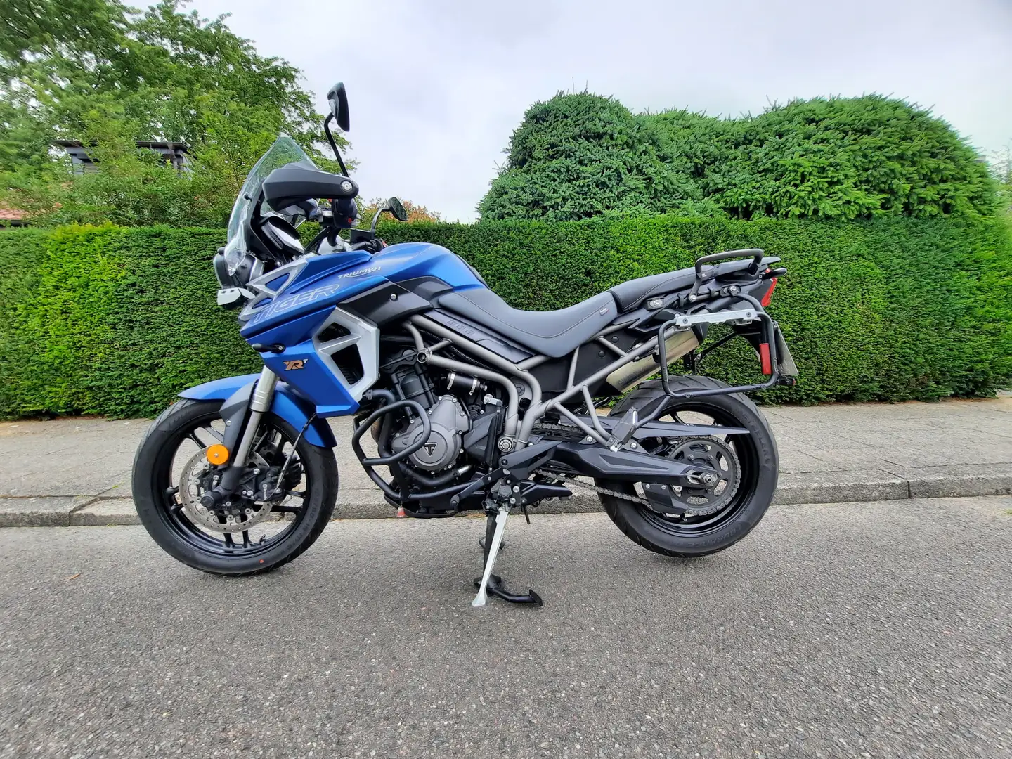 Triumph Tiger 800 XRT Albastru - 2