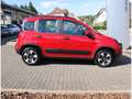 Fiat Panda RED 1.0 GSE 70PS HYBRID KLIMAAUTO CARPLAY DAB Rouge - thumbnail 3