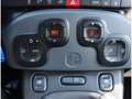 Fiat Panda RED 1.0 GSE 70PS HYBRID KLIMAAUTO CARPLAY DAB Rouge - thumbnail 25