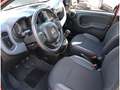 Fiat Panda RED 1.0 GSE 70PS HYBRID KLIMAAUTO CARPLAY DAB Rouge - thumbnail 11