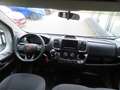 Fiat Ducato 9 Sitzer L2H2 Klima Kamera AHK DAB Apple CarPlay A Schwarz - thumbnail 8