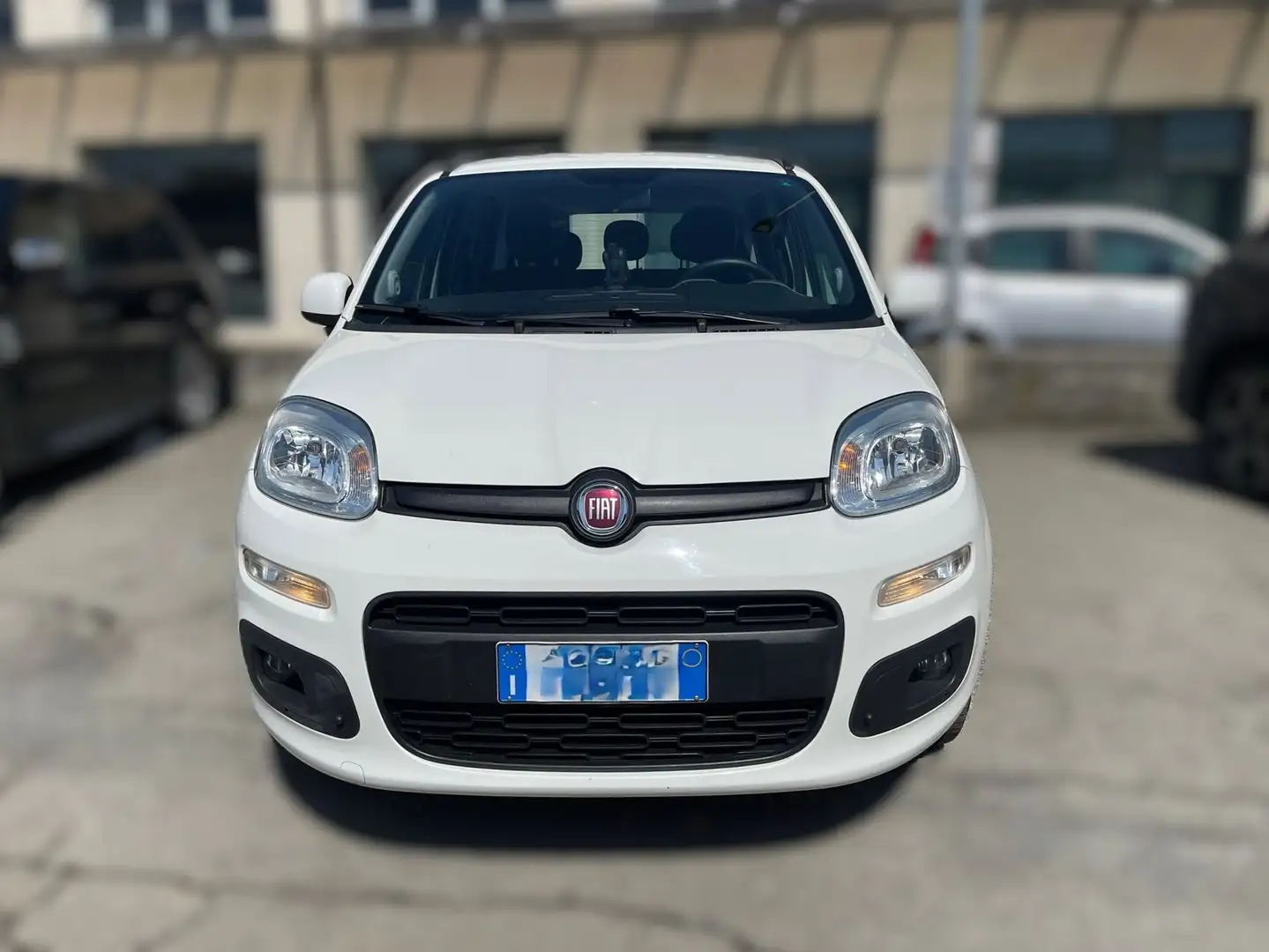 Fiat Panda 1.2 Lounge Bianco - 2