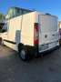 Fiat Scudo Blanc - thumbnail 9