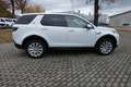 Land Rover Discovery Sport 2.0 P200 SE #AWD #LED #LEDER #NAVI Weiß - thumbnail 7