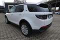 Land Rover Discovery Sport 2.0 P200 SE #AWD #LED #LEDER #NAVI Weiß - thumbnail 4
