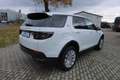 Land Rover Discovery Sport 2.0 P200 SE #AWD #LED #LEDER #NAVI Weiß - thumbnail 6