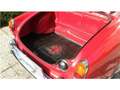 Alfa Romeo Giulia Rot - thumbnail 13