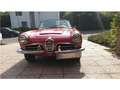 Alfa Romeo Giulia Rojo - thumbnail 11