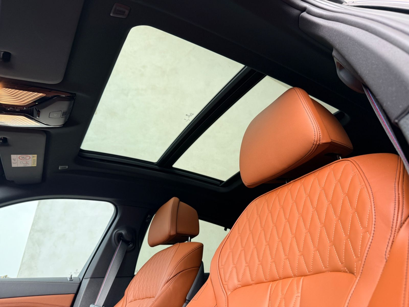 BMW X6 xDrive40d/MPaket/22"/Pano/Carbon/LED — photo 11