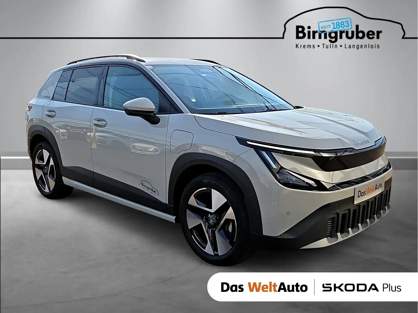 Skoda Epiq Selection 55 Grau - 1