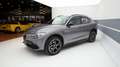 Alfa Romeo Stelvio 2.0 Turbo 280 CV AT8 Q4 B-Tech Grigio - thumbnail 1