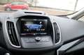 Ford C-Max 1.5 Titanium, Clima,Cruise, Navi, Trekhaak, Pdc Grau - thumbnail 19