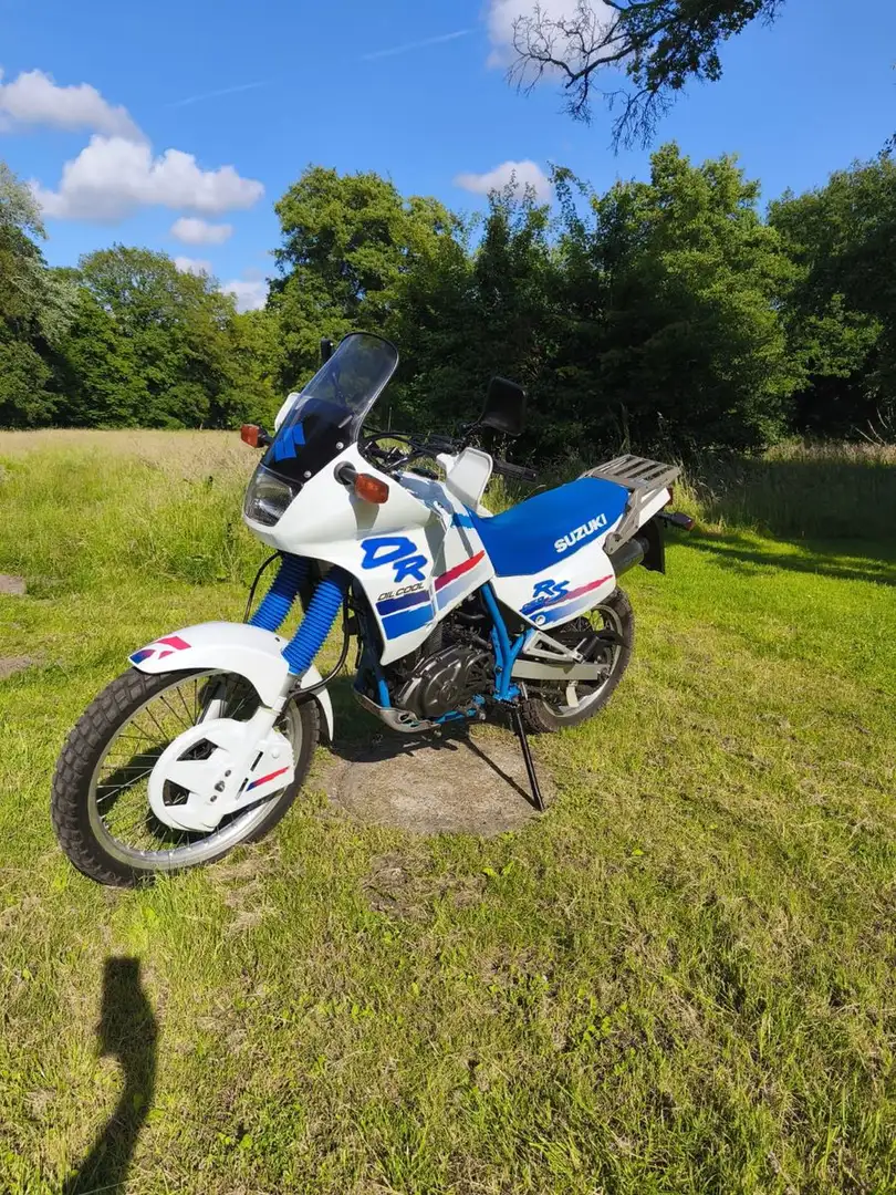 Suzuki DR 650 RS SP 42 B SONDERMODELL Alb - 1