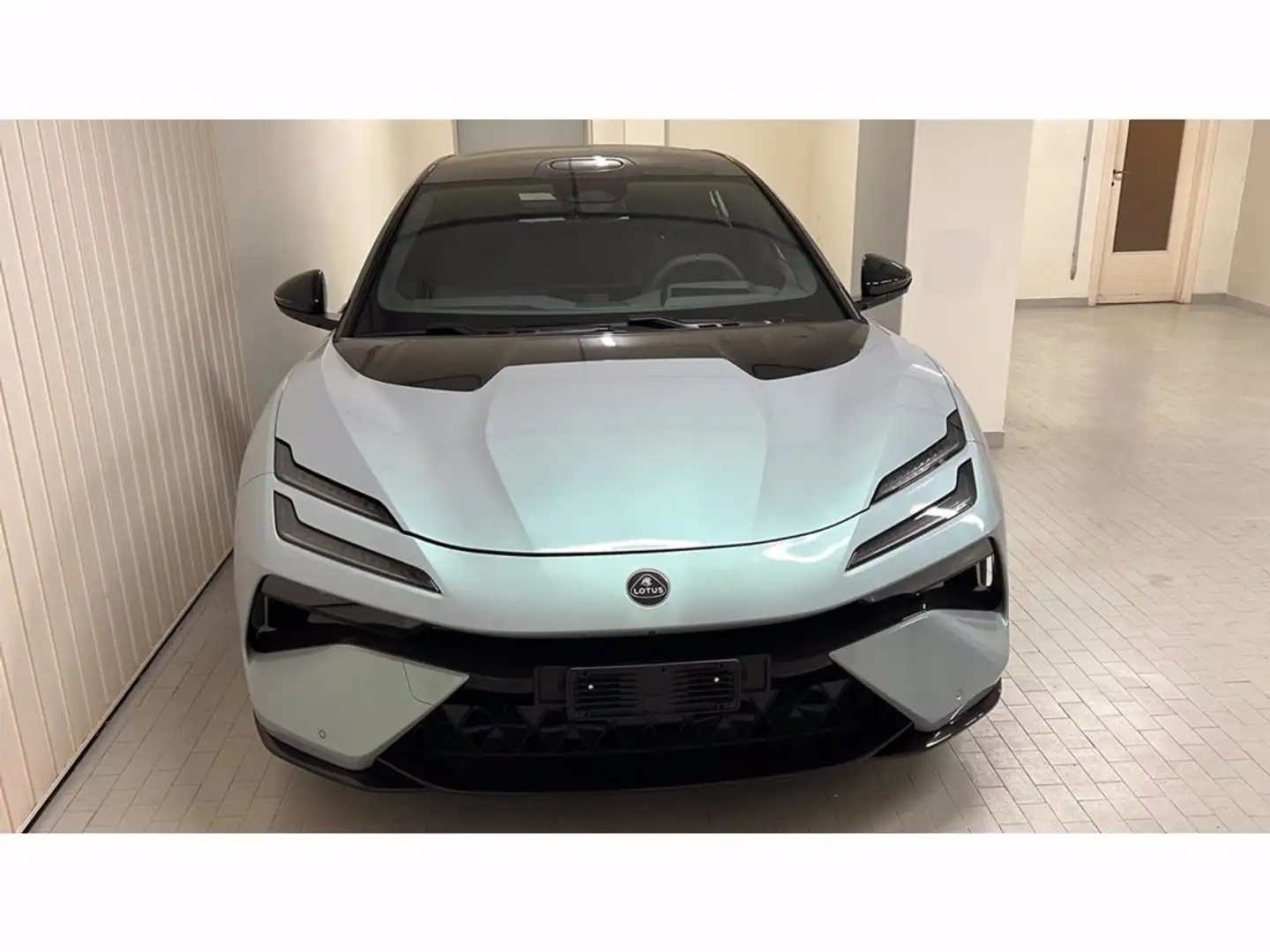 Lotus Emeya Gri - 2