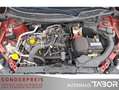Renault Kadjar 1.2 TCe 130 EDC Business LM Klimaaut. Rot - thumbnail 12