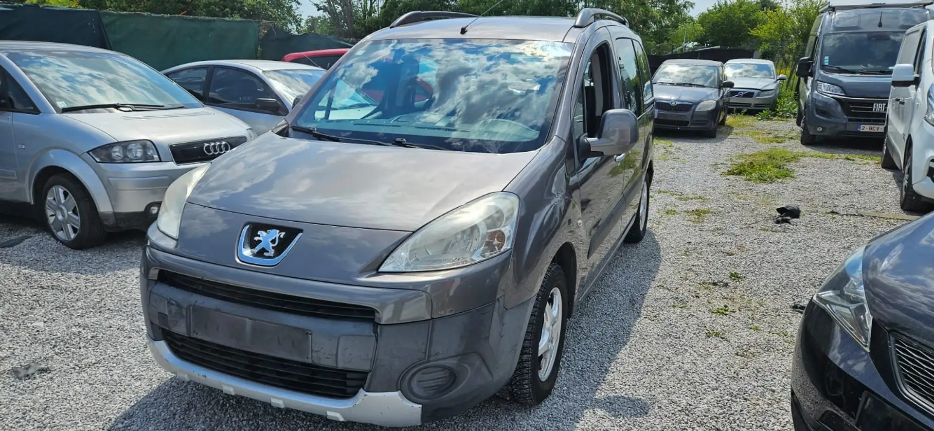Peugeot Partner Tepee 1.6i - 2