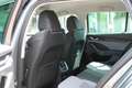 Skoda Octavia Combi Selection+ 2.0TDI DSG AHK Winter&Assisten... Gris - thumbnail 14
