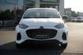 Mazda 2 Hybrid Centreline | Benzin-Hybrid 116 Autom. Centr Weiß - thumbnail 3