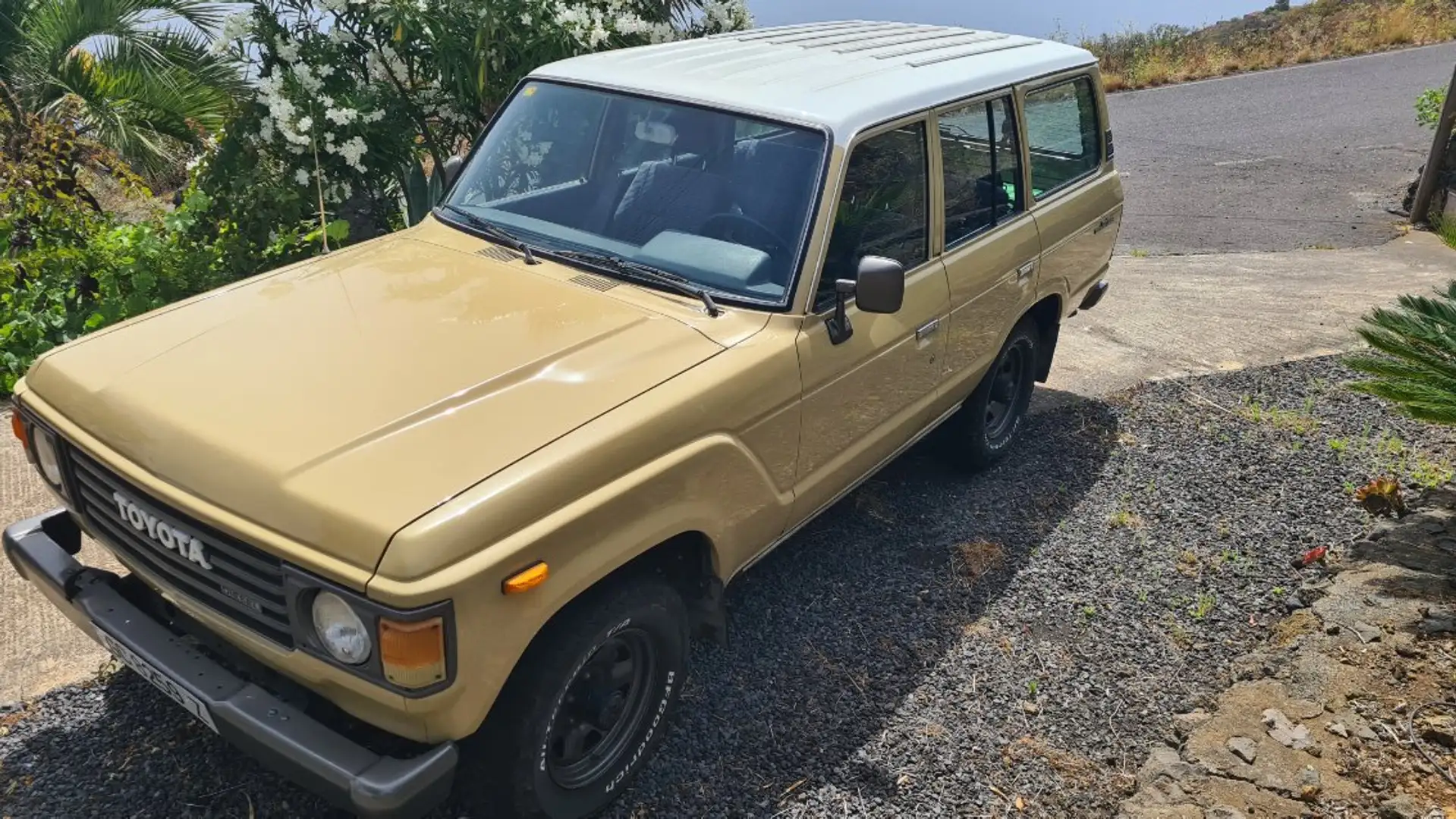 Toyota Land Cruiser Land Cruiser HJ 60 Бежевий - 2