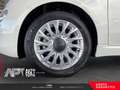 Fiat 500 500 1.0 hybrid Lounge 70cv Bianco - thumbnail 5