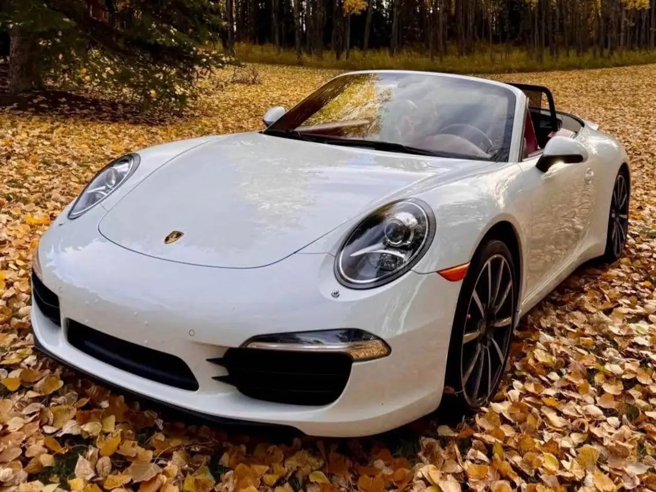 Porsche 911 снимка Porsche 911