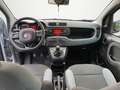 Fiat Panda 1.2 Easy 69cv - thumbnail 11