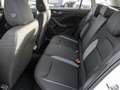 Skoda Kamiq 1.0 TSI DSG Essence Weiß - thumbnail 15