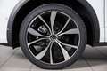 Volkswagen T-Roc 1.0 TSI R-Line Plus 115CV Bianco - thumbnail 6