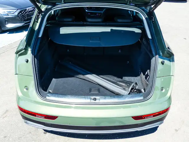 Audi Q5 view 20