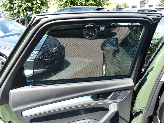 Audi Q5 view 19
