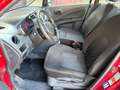 Suzuki Celerio Basis1.0L,Euro 6,Klima Rot - thumbnail 7