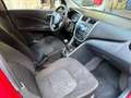 Suzuki Celerio Basis1.0L,Euro 6,Klima Rot - thumbnail 8