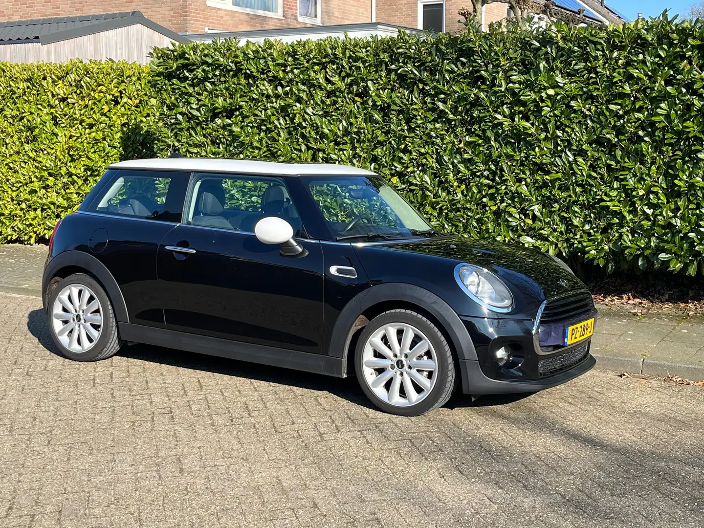MINI Cooper Cooper+1.5+Pepp.+Bns - 1