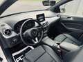 Mercedes-Benz B 200 CDI Automatik+LED+SHZ+Tempomat+Kamera+Navi Weiß - thumbnail 10