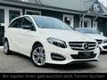 Mercedes-Benz B 200 CDI Automatik+LED+SHZ+Tempomat+Kamera+Navi Weiß - thumbnail 1