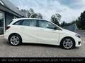 Mercedes-Benz B 200 CDI Automatik+LED+SHZ+Tempomat+Kamera+Navi Weiß - thumbnail 5