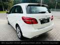 Mercedes-Benz B 200 CDI Automatik+LED+SHZ+Tempomat+Kamera+Navi Weiß - thumbnail 6