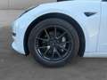 Tesla Model 3 Blanco - thumbnail 15
