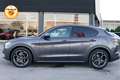 Alfa Romeo Stelvio 2.2 210cv t Veloce Q4 Grijs - thumbnail 19