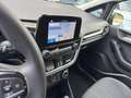 Ford Fiesta 5p 1.5 tdci Plus 85cv Gris - thumbnail 12
