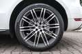 Porsche Macan S BOSE+PDLS+PASM+21" TURBO+18-WEGE SITZ Blanc - thumbnail 24