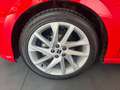 SEAT Ibiza 1.0 EcoTSI 95 CV 5 porte FR Rosso - thumbnail 7