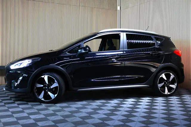Ford Fiesta view 10