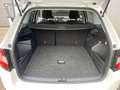Skoda Fabia Combi Ambition 1,0 TSI, App Connect , Soundpake... Weiß - thumbnail 15