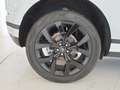 Land Rover Range Rover Evoque Range Rover Evoque 2.0D I4 163 CV AWD Auto SE - I Bianco - thumbnail 9