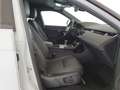 Land Rover Range Rover Evoque Range Rover Evoque 2.0D I4 163 CV AWD Auto SE - I Bianco - thumbnail 3