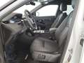 Land Rover Range Rover Evoque Range Rover Evoque 2.0D I4 163 CV AWD Auto SE - I Bianco - thumbnail 25