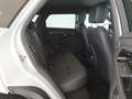 Land Rover Range Rover Evoque Range Rover Evoque 2.0D I4 163 CV AWD Auto SE - I Bianco - thumbnail 5
